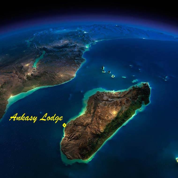 Ankasy Lodge Tsifota ภายนอก รูปภาพ